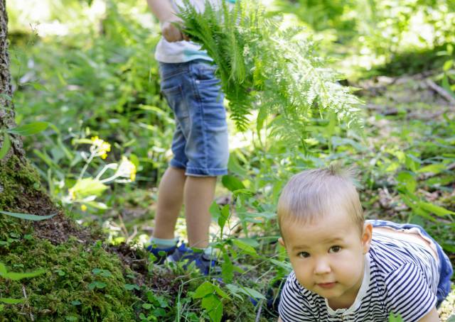 Kinder spielen im Wald
