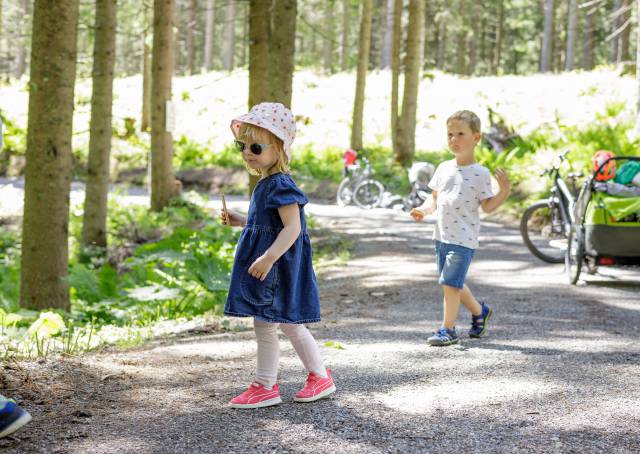 Kinder im Wald