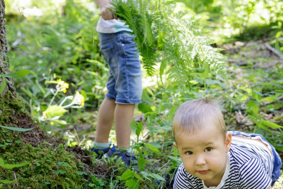 Children playing in the forest