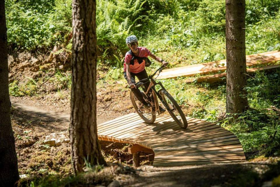 Mountainbiker fährt über Bachtltrail im Wald