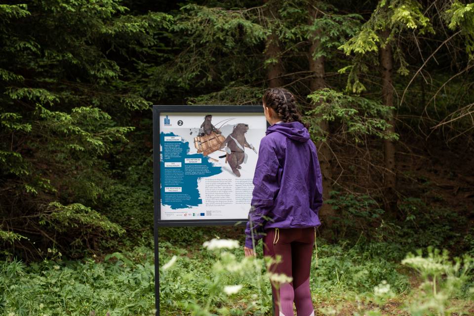 Mädchen liest Infotafel am Biberpfad im Wald – interaktiver Naturerlebnisweg für Familien in Tirol
