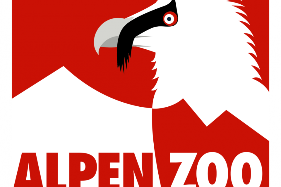 Logo Alpenzoo Innsbruck–Tirol: schwarze Bartgeier-Silhouette mit hellem Schnabel vor rotem Hintergrund, stilisierte Bergkontur und Schriftzug ‚Alpenzoo Innsbruck – Tirol