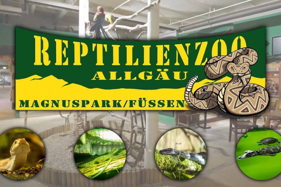 Schild mit gelbem Text 'Reptilienzoo Allgäu Magnuspark/Füssen' und Illustration einer Schlange, umgeben von vier runden Bildern von Reptilien in Terrarien