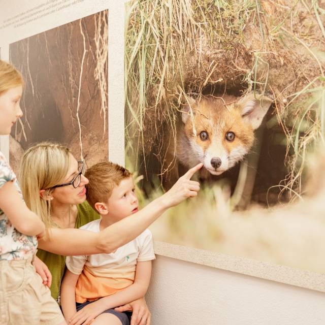 Mutter und Kinder stehen vor Fuchsbild
