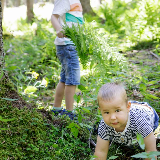 Kinder spielen im Wald