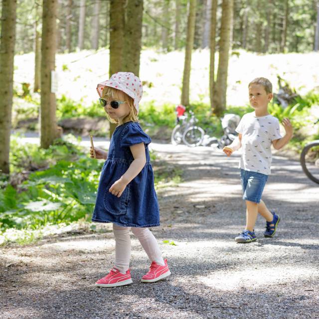 Kinder im Wald