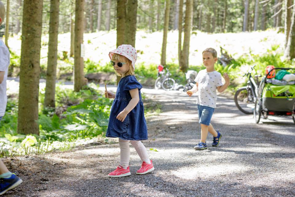 Kinder im Wald